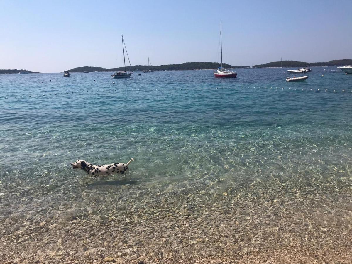 Apartman Marinka Viskovic