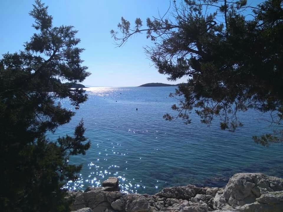 Marinka Viskovic Apartman